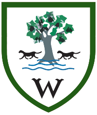 BT Cloud Voice Pricing Explained: Unlock the Best Deals